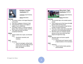 Preview of Animal Fast Facts (South America Waseca Biome Cards)