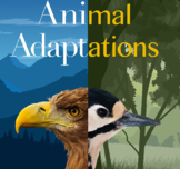 Animal Features Research Project  (science, writing)