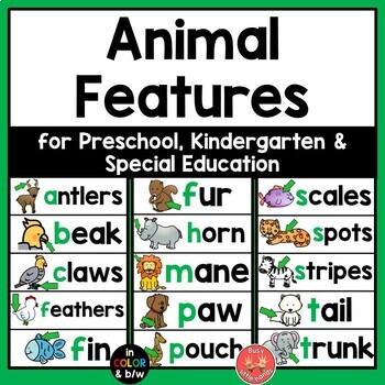 Animal Features Unit for Preschool, Kindergarten & Special Education