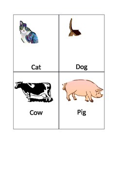 Preview of Animal Flash Cards