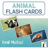 Animal Flash Cards - Real Photos! | Animals | Farm Sea Wild Zoo Pets