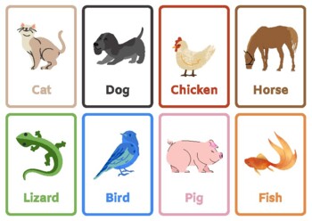 Animal Flashcards by Ms Sadie's Class | TPT