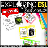 Animal Flashcards - Exploring ESL | Cambly Kids, Lingo Ace