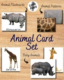 Animal Flashcards (Families and Skin Pattern)