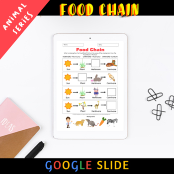 Preview of Animal: Food Chain Digital Worksheet
