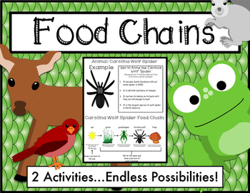 Animal Food Chains in Various Habitats by The Handout Factory | TPT