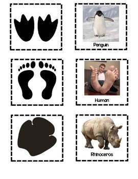 Animal Footprint Matching Game by Early Childhood Resource Center