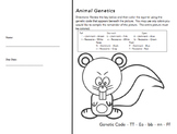 Animal Genetics Worksheet (Genotype & Phenotype Practice)