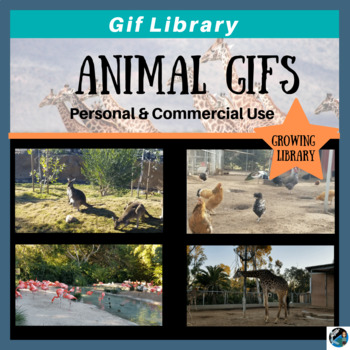Preview of Animal Gifs for Teacher Authors