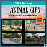 Animal Gifs for Teacher Authors