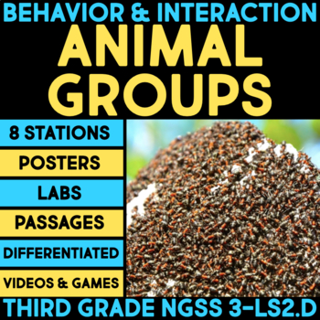 Preview of Animal Groups for Survival, Ecosystems, Animal Homes, Migration, Colonies, 3rd