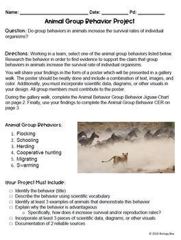 Animal Group Behavior Project: HS-LS2-8 by Biology Bee | TPT