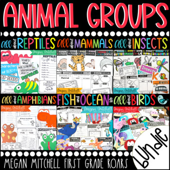 Preview of Animal Group Bundle Insects Reptiles Amphibians Fish Birds and Mammals