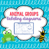 Animal Group Characteristics Labeling Diagrams
