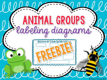 Preview of Animal Group Characteristics Labeling Diagrams FREEBIE!