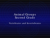 Animal Group Classification PowerPoint