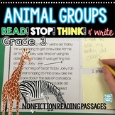 Animal Groups Reading Comprehension Passages with Question