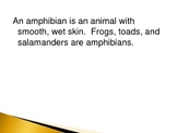 Animal Groups - Amphibians