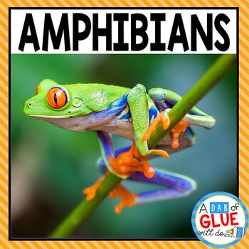 Preview of Animal Groups and Animal Classification: Amphibians