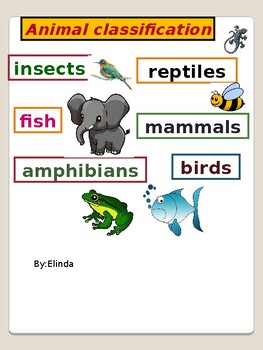 Preview of Animal Groups And Animal Classification, Characteristics / Worksheets