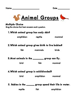 Animal Groups Assessment by RGAM | Teachers Pay Teachers