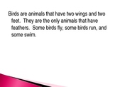 Animal Groups - Birds