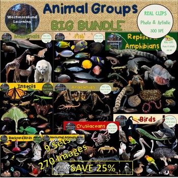Preview of Animal Groups Clip Art 9 Set Big Bundle Photo & Artistic Digital Stickers