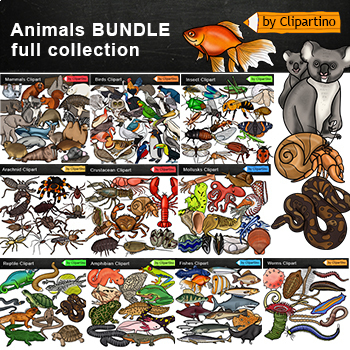 Preview of Animal Groups Clip Art Bundle /Birds /Worms /Fish clip art / Insects /Reptiles