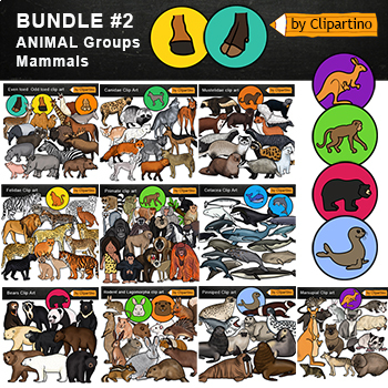 Preview of Animal Groups Clip Art Mammals Bundle /Science Clipart Commercial use 