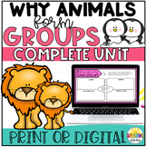 Animal Groups: Construct a CER {Covers NGSS 3-LS2}