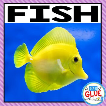 Animal Groups and Animal Classification: Fish by A Dab of Glue Will Do