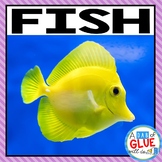 Animal Groups and Animal Classification: Fish