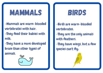 Preview of Animal Groups Flashcards for Preschool, Kindergarten, Montessori, Homeschooling