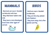 Animal Groups Flashcards for Preschool, Kindergarten, Mont