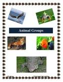 Animal Groups Foldable