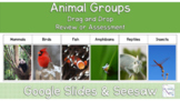 Animal Groups-Google Slides and Seesaw Assessment/Review (