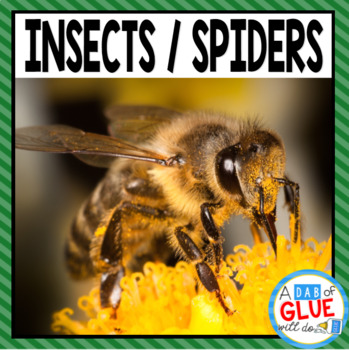 Preview of Bugs & Insects, Spiders | Insect & Bug Printables & Activities | Spring Science