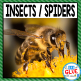 Bugs & Insects, Spiders | Insect & Bug Printables & Activi