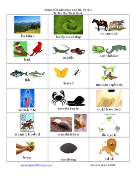 Animal Groups & Life Cycles Vocabulary TicTacToe Learning Game | TPT