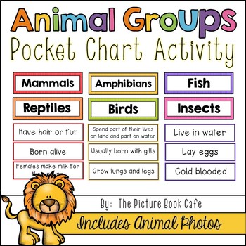 wordament animal groups