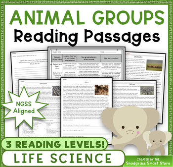 Preview of Animal Groups: Reading Comprehension Passages and Questions