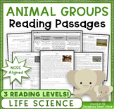 Animal Groups: Reading Comprehension Passages and Questions
