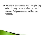 Animal Groups - Reptiles