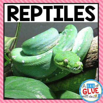 Preview of Reptiles | Animal Characteristics & Animal Classification | Reptiles Unit