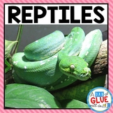 Reptiles | Animal Characteristics & Animal Classification 
