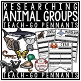 Animal Classes Groups Classification Research Activities R