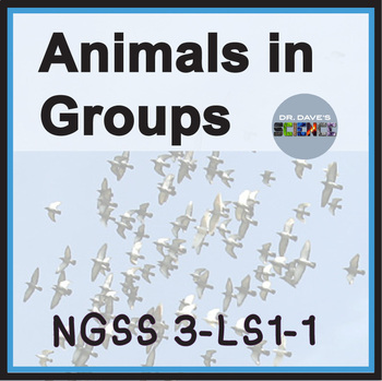 Preview of Animals Live in Groups Resource Packet NGSS 3-LS2-1