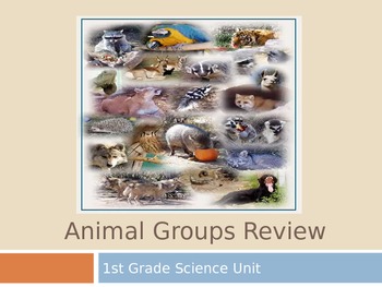 Preview of Animal Groups Review