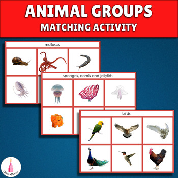 wordament animal groups