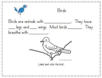 Resultado de imagen de exercises about birds for kids